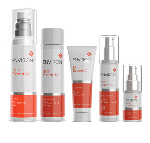 FESTIVE 2023<br> Fresh Face Essentials AVST 2