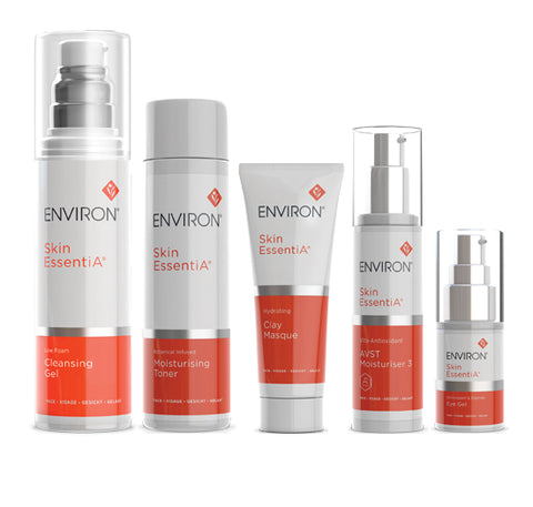 FESTIVE 2023<br> Fresh Face Essentials AVST 3